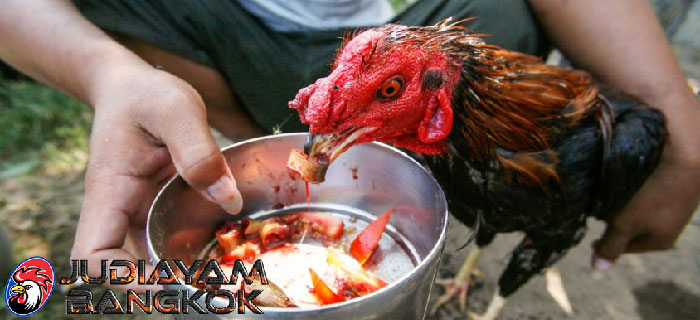 Pil Herbal Ayam Bangkok